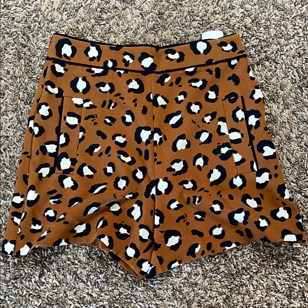 Zara High Waist Brown and Black Shorts